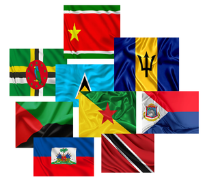 WEST INDIES FLAG