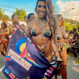 ViKiNi Flag (Flag Of Caribbean Life) | ViKiNi Tilolo